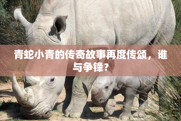 青蛇小青的传奇故事再度传颂，谁与争锋？