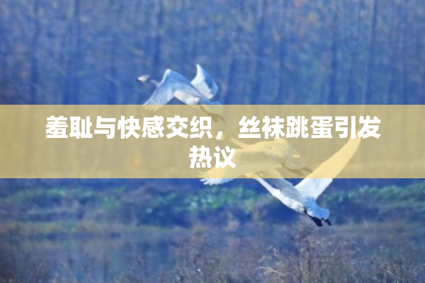 羞耻与快感交织，丝袜跳蛋引发热议