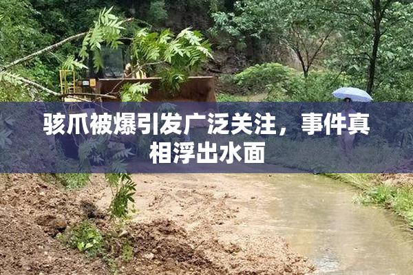 骇爪被爆引发广泛关注，事件真相浮出水面