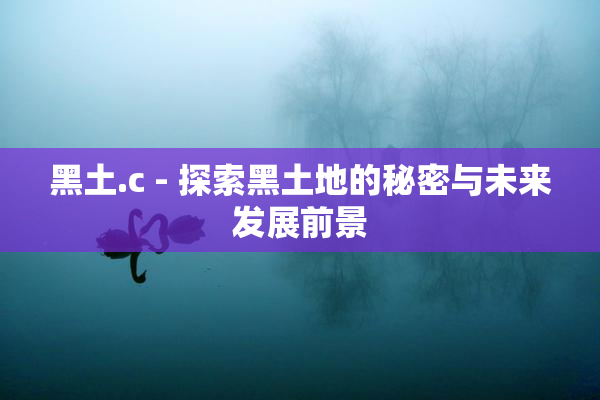 黑土.c - 探索黑土地的秘密与未来发展前景