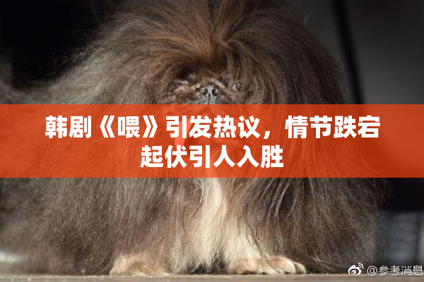 韩剧《喂》引发热议，情节跌宕起伏引人入胜