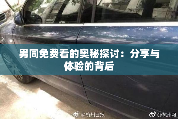 男同免费看的奥秘探讨：分享与体验的背后