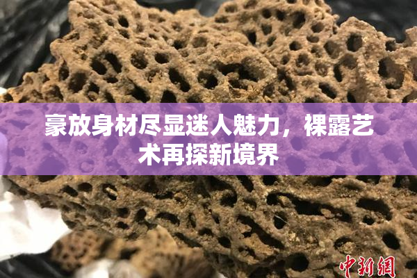 豪放身材尽显迷人魅力，裸露艺术再探新境界
