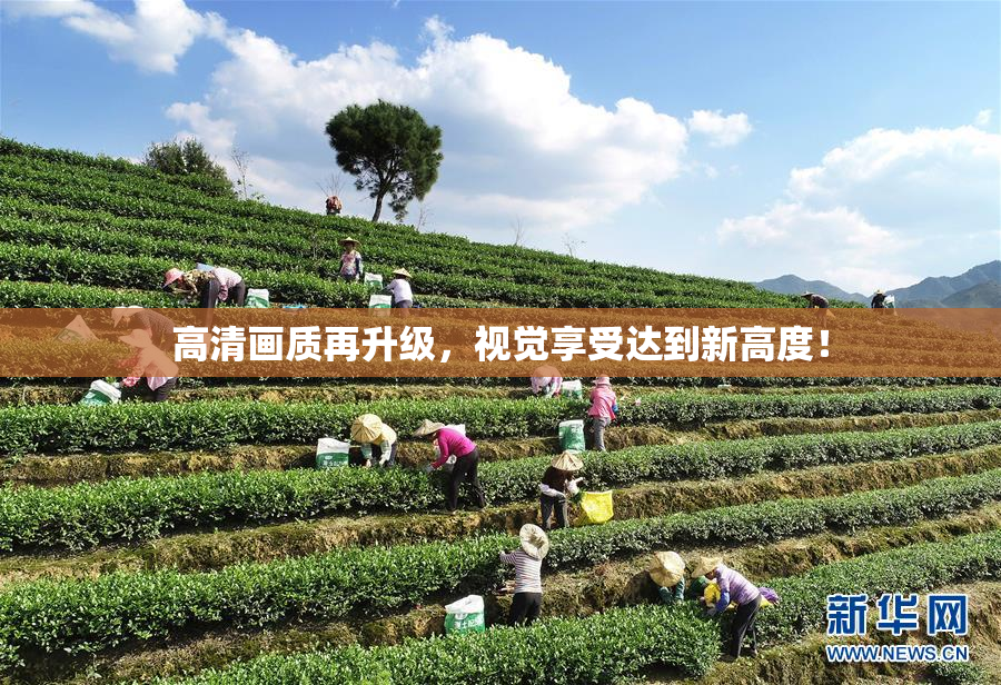 高清画质再升级，视觉享受达到新高度！