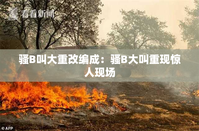 骚B叫大重改编成：骚B大叫重现惊人现场