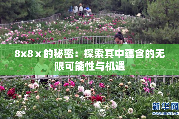 8x8ⅹ的秘密：探索其中蕴含的无限可能性与机遇