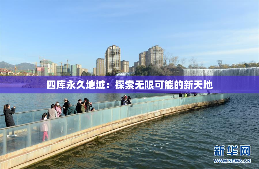 四库永久地域：探索无限可能的新天地