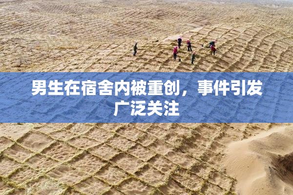 男生在宿舍内被重创，事件引发广泛关注