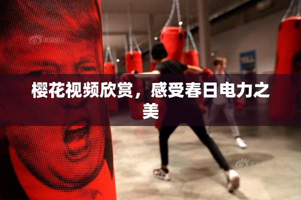 樱花视频欣赏，感受春日电力之美