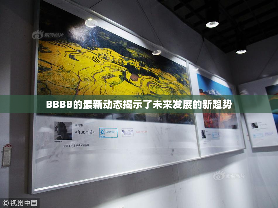 BBBB的最新动态揭示了未来发展的新趋势