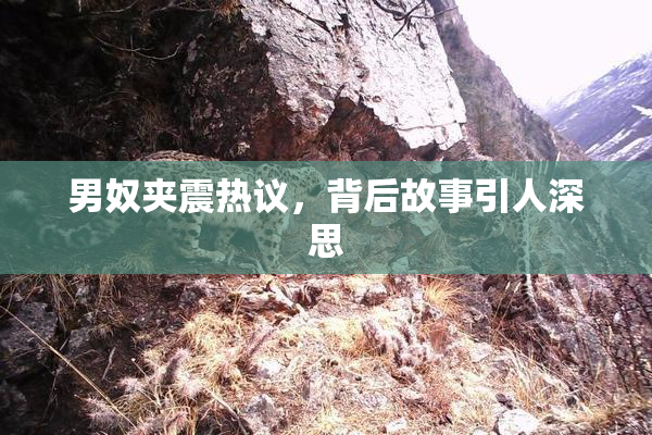 男奴夹震热议，背后故事引人深思