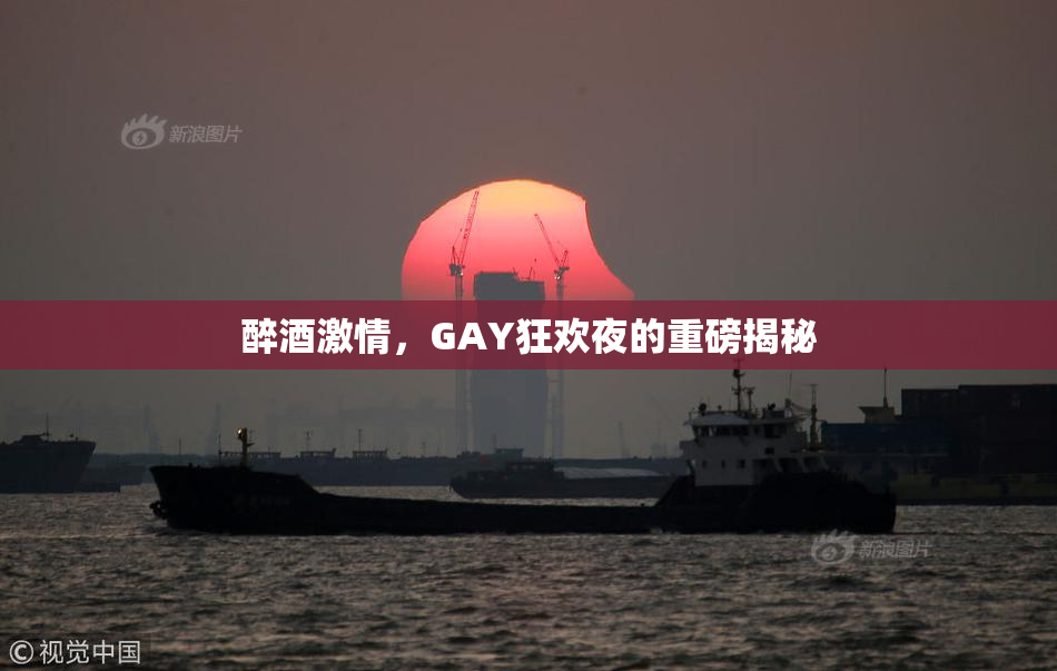 醉酒激情，GAY狂欢夜的重磅揭秘