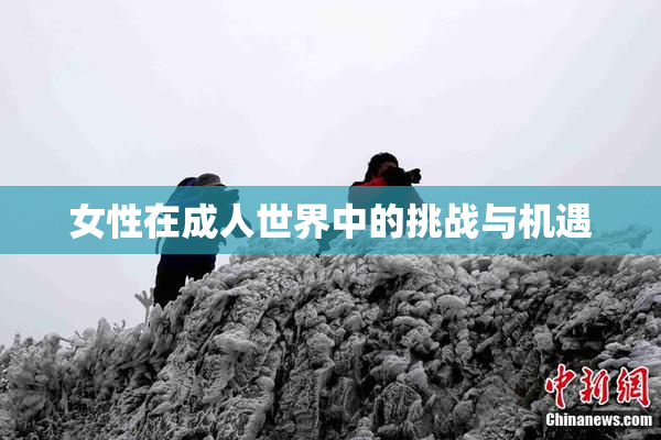 女性在成人世界中的挑战与机遇