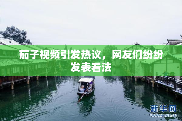 茄子视频引发热议，网友们纷纷发表看法