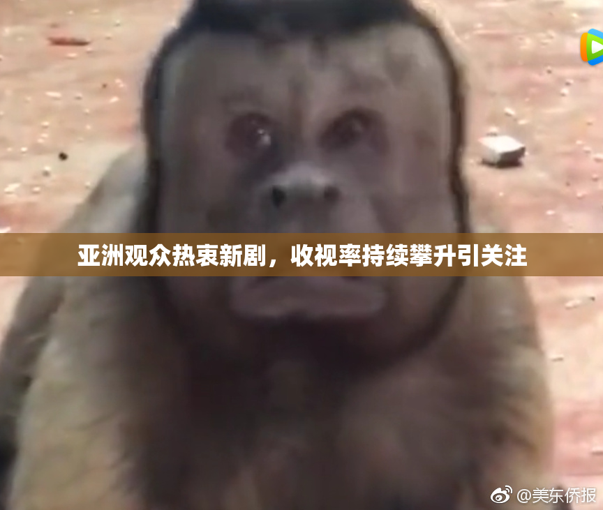亚洲观众热衷新剧，收视率持续攀升引关注