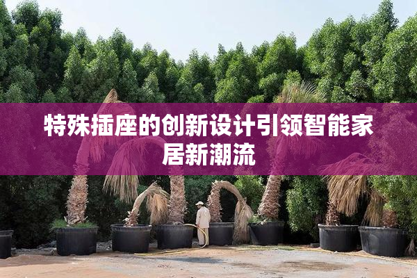 特殊插座的创新设计引领智能家居新潮流