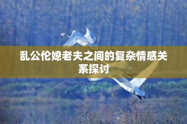 乱公伦媳老夫之间的复杂情感关系探讨