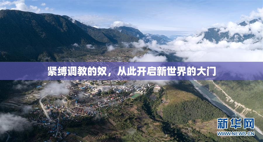 紧缚调教的奴，从此开启新世界的大门