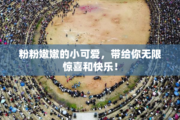 粉粉嫩嫩的小可爱，带给你无限惊喜和快乐！