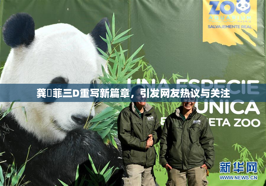 龚玥菲三D重写新篇章，引发网友热议与关注