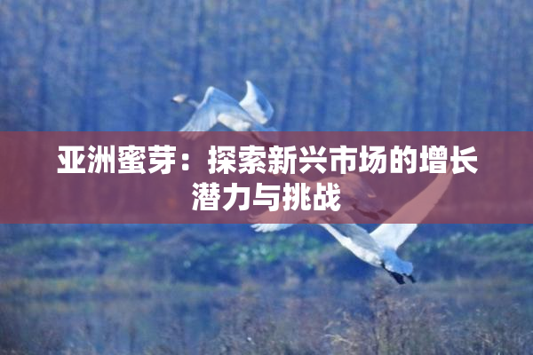 亚洲蜜芽：探索新兴市场的增长潜力与挑战