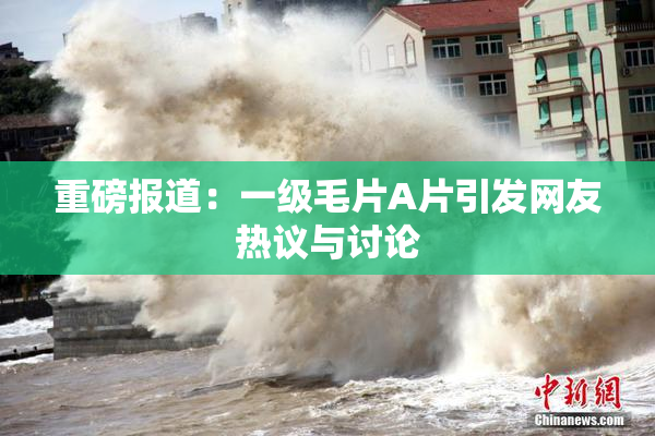 重磅报道：一级毛片A片引发网友热议与讨论