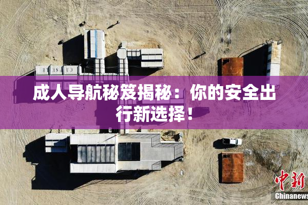 成人导航秘笈揭秘：你的安全出行新选择！