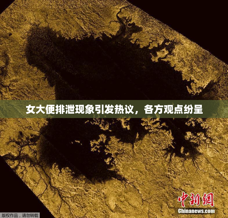 女大便排泄现象引发热议，各方观点纷呈