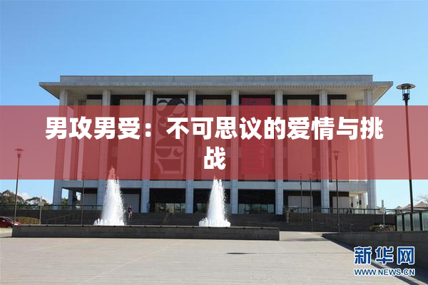 男攻男受：不可思议的爱情与挑战