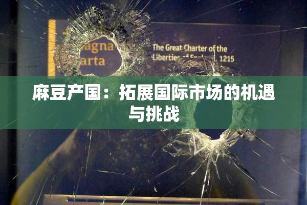 麻豆产国：拓展国际市场的机遇与挑战