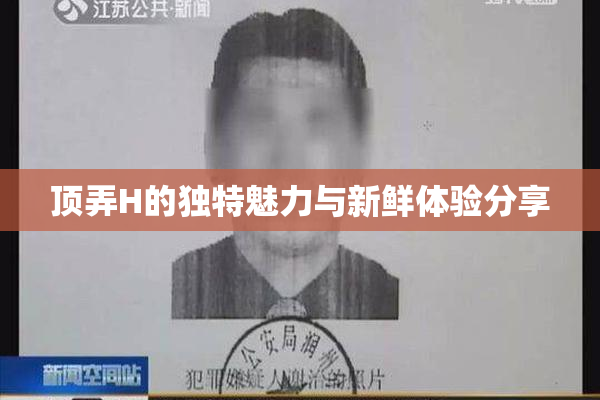 顶弄H的独特魅力与新鲜体验分享