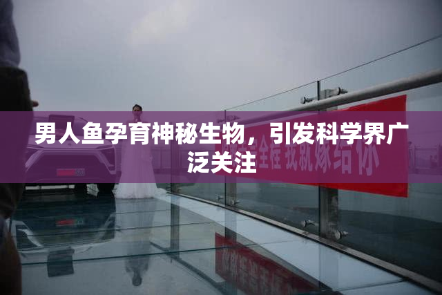 男人鱼孕育神秘生物，引发科学界广泛关注