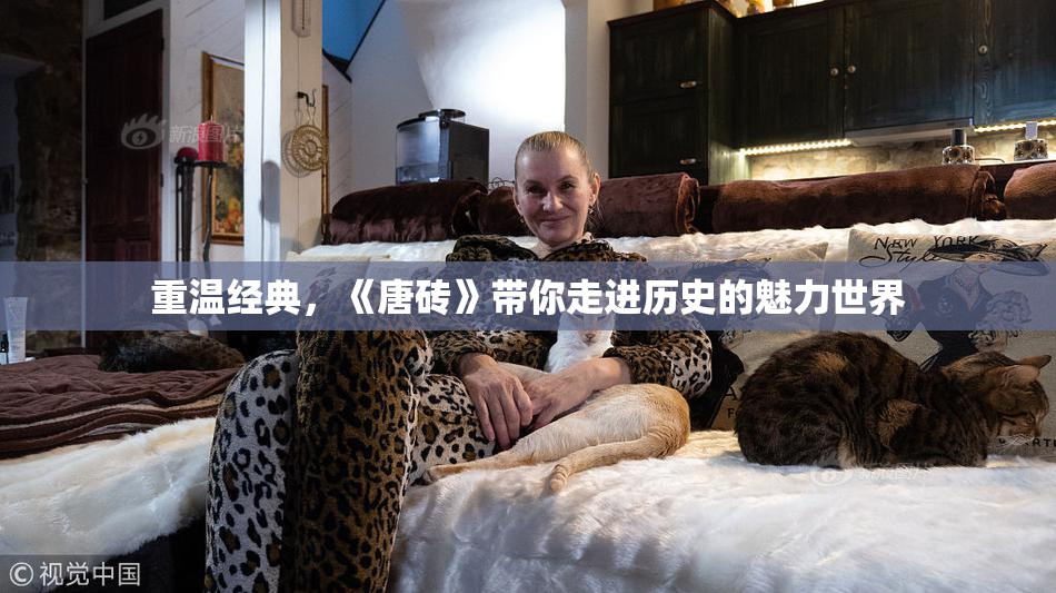 重温经典，《唐砖》带你走进历史的魅力世界