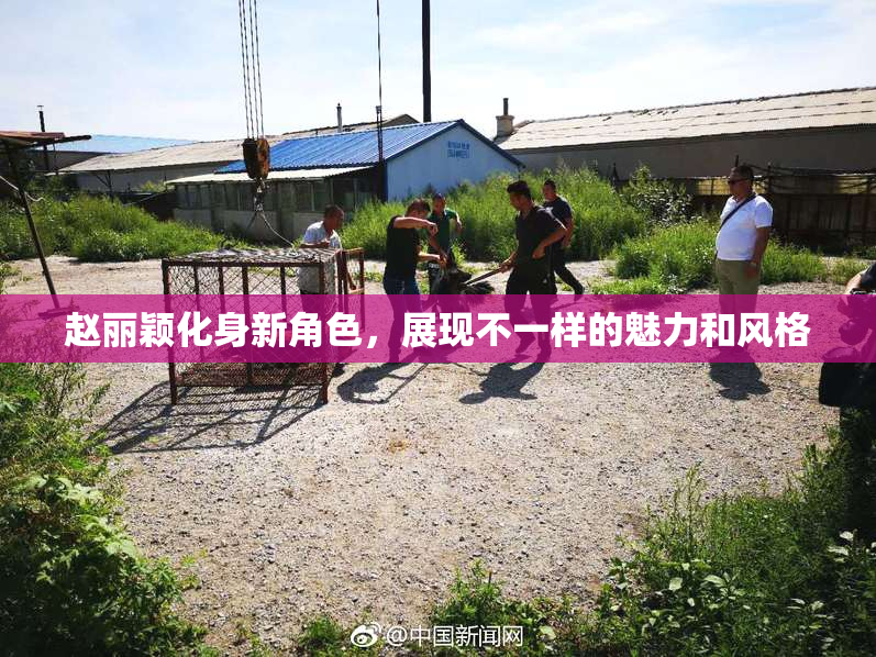 赵丽颖化身新角色，展现不一样的魅力和风格