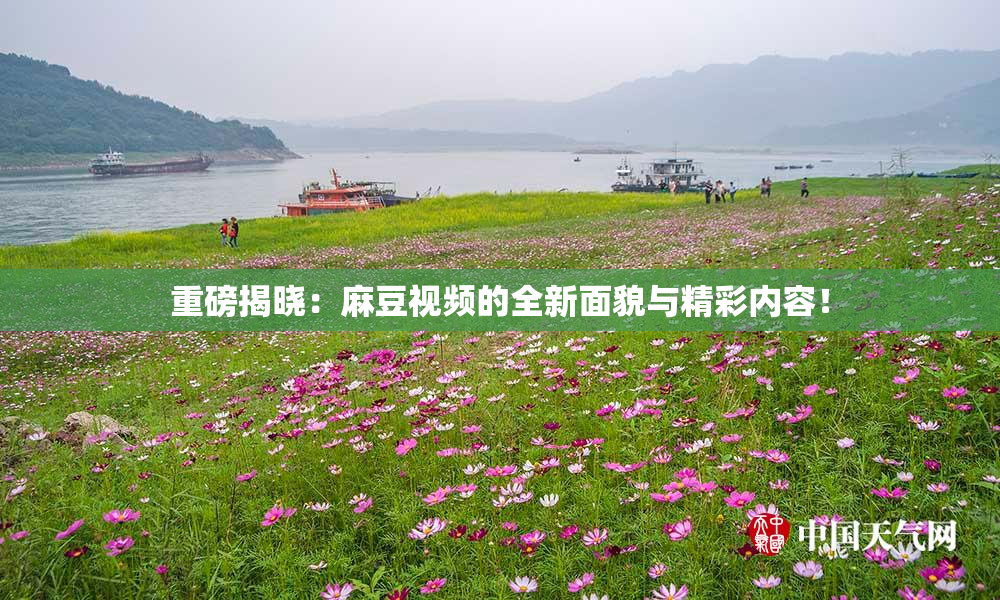 重磅揭晓：麻豆视频的全新面貌与精彩内容！