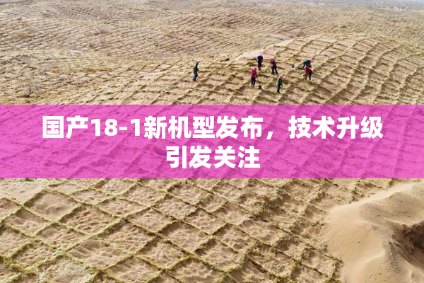 国产18-1新机型发布，技术升级引发关注