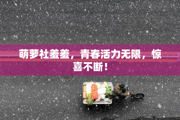 萌萝社羞羞，青春活力无限，惊喜不断！