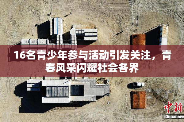 16名青少年参与活动引发关注，青春风采闪耀社会各界