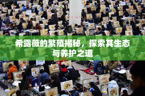 希露薇的繁殖揭秘，探索其生态与养护之道