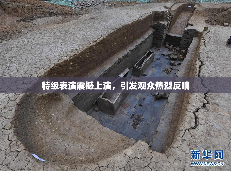 特级表演震撼上演，引发观众热烈反响