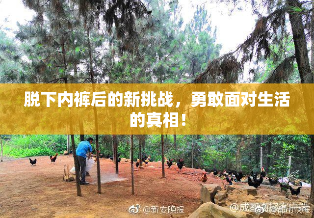 脱下内裤后的新挑战，勇敢面对生活的真相！