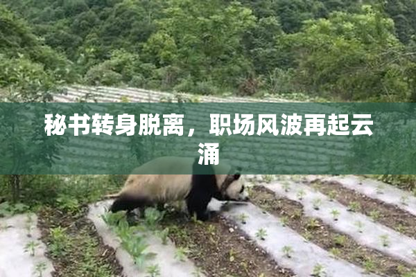 秘书转身脱离，职场风波再起云涌