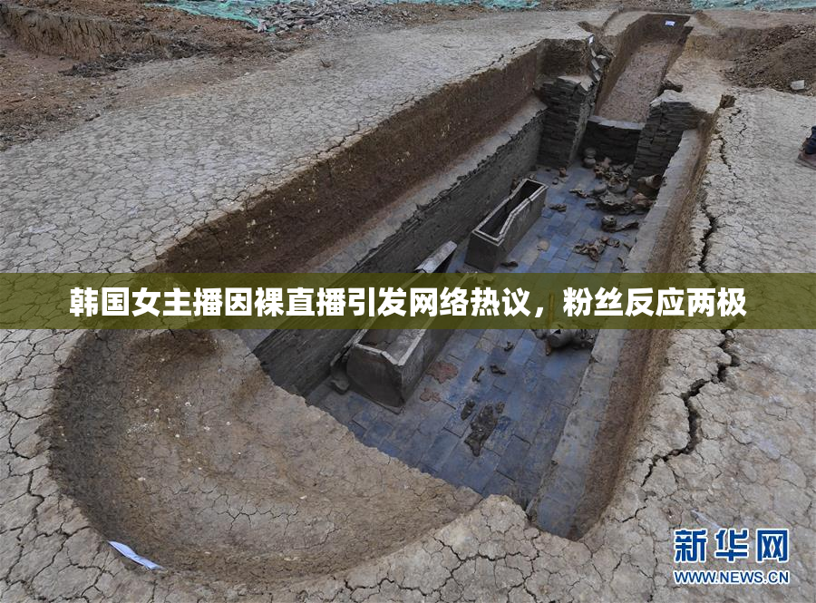 韩国女主播因裸直播引发网络热议，粉丝反应两极