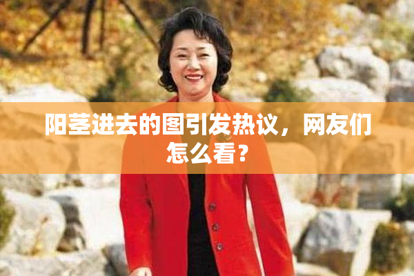 阳茎进去的图引发热议，网友们怎么看？