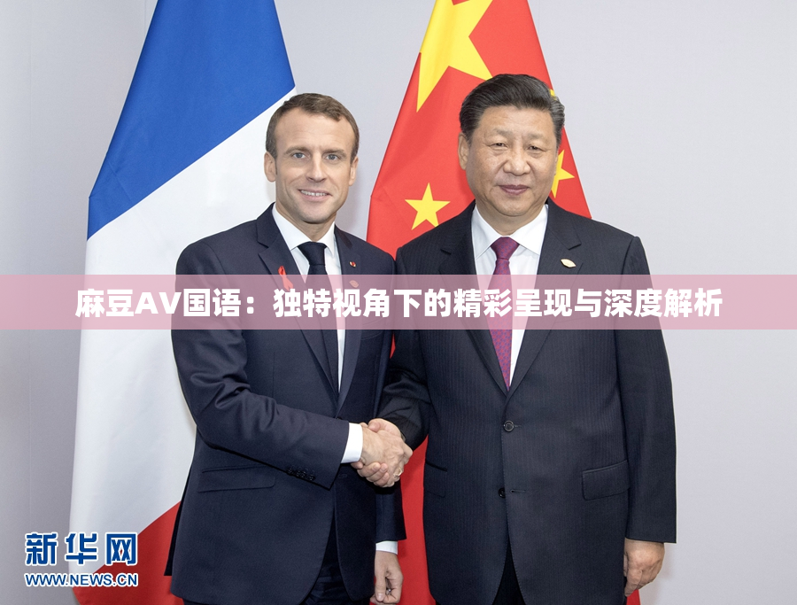 麻豆A∨国语：独特视角下的精彩呈现与深度解析