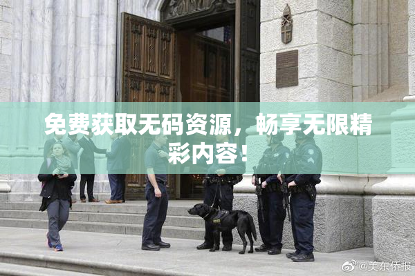 免费获取无码资源，畅享无限精彩内容！