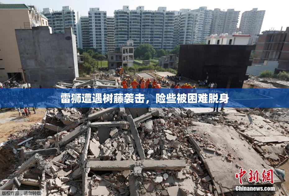 雷狮遭遇树藤袭击，险些被困难脱身