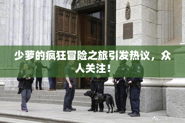 少萝的疯狂冒险之旅引发热议，众人关注！