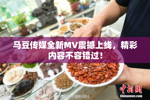 马豆传媒全新MV震撼上线，精彩内容不容错过！