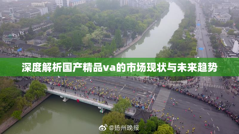 深度解析国产精品va的市场现状与未来趋势